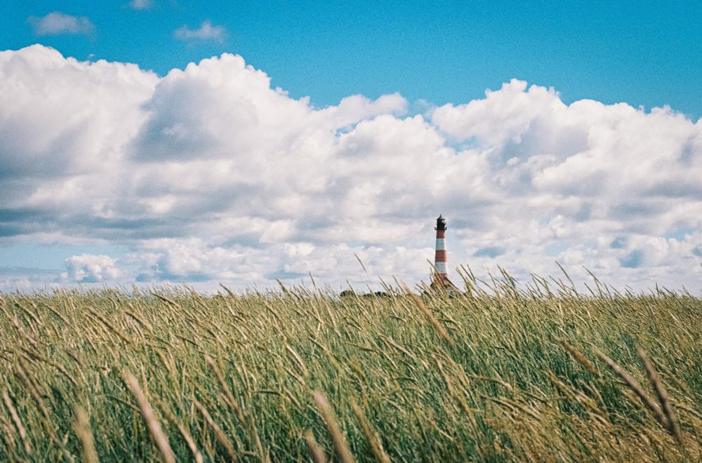 Ein Leuchturm am Horizon, darüber blauer Himmel mit Wolken, im Vordergrund Getreide.