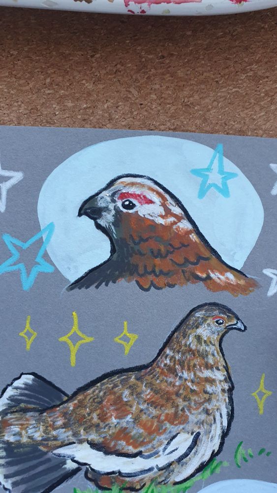 Close up of the top part of the page: the male ptarmigan portrait against a pale blue halo, and a fluffed up female surrounded by yellow sparkles.