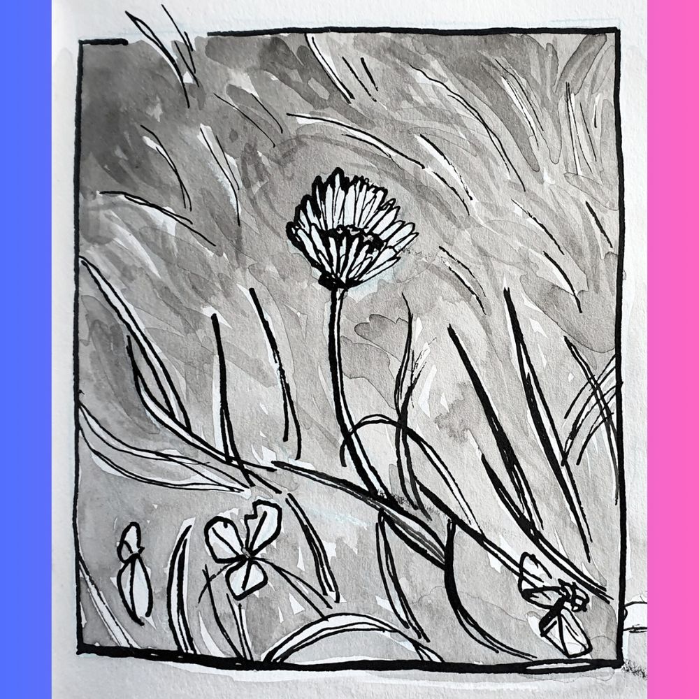 Another comic panel. A portrait rectangle with a few clovers and a daisy near the bottom, in the foreground, and grass texture indicated with ink and washes going into the background.