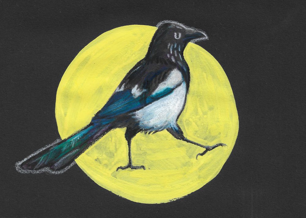 Stylised illustration of a Eurasian magpie on black paper in gouache and wax pastel. The magpie is against a yellow circle and is mid-strut with one leg stepping.