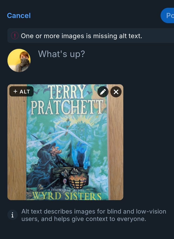Screenshot showing an image. There's a box on the top left of the image showing '+ALT', click on that to start adding your alt text.
At the top is a line saying 'One or more images is missing alt text' - more on that later 