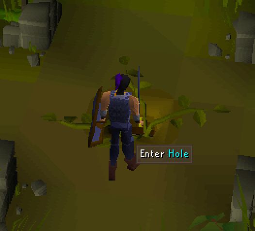 Screenshot of Runescape character standing in front of a put with the text option that reads "Enter Hole"