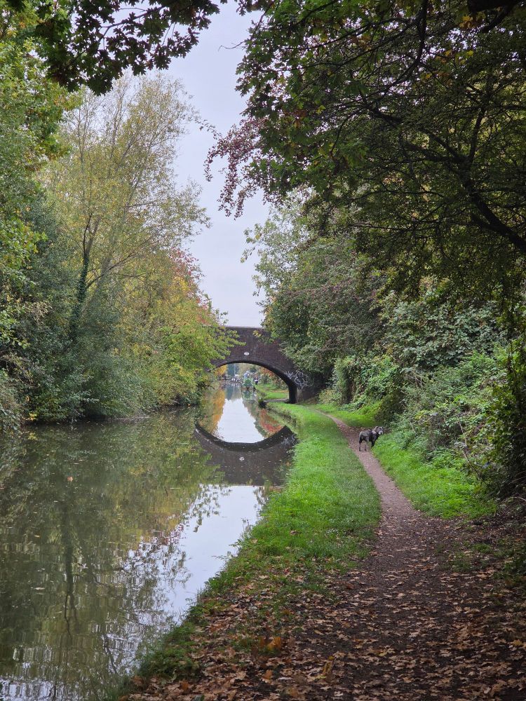 View of bridge 73 and its reflection on the Coventry Fazeley canal, Tamworth. My dog is in the distance on the towpath.