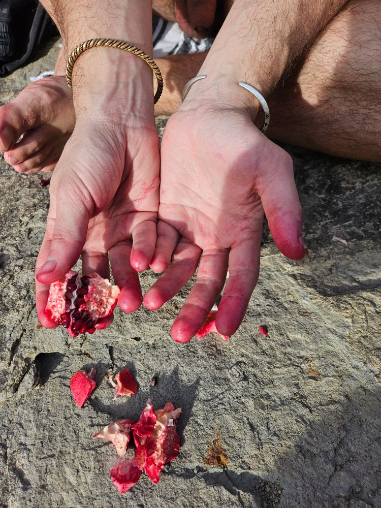 Postres i berenar a base de magrana:
10/10