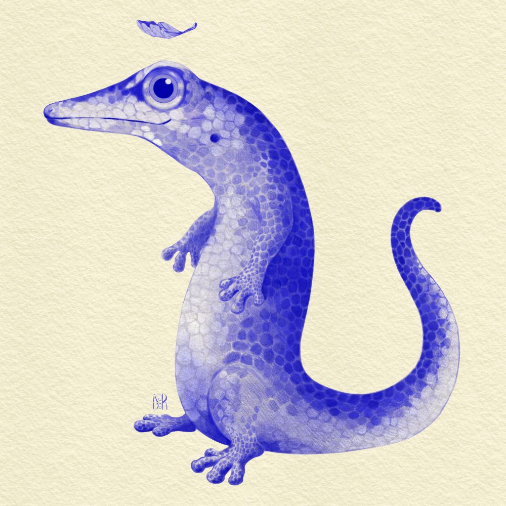 Blue lizzard
