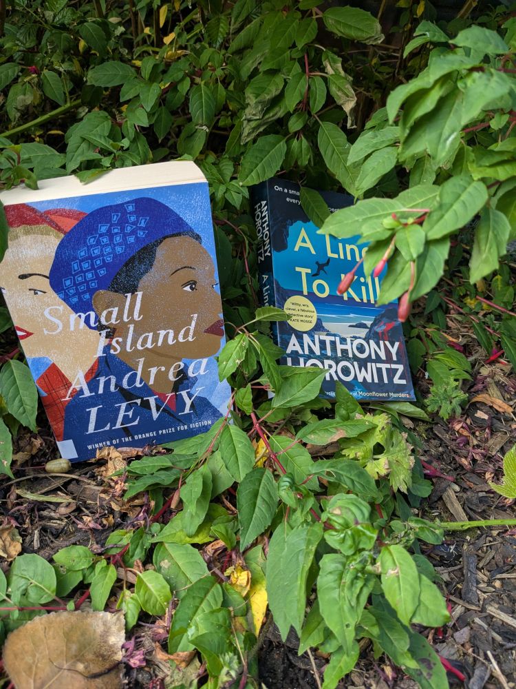 'Small Island' by Andrea Levy and 'A Line To Kill' by Anthony Horowitz outside the library in the bushes on a hot day!