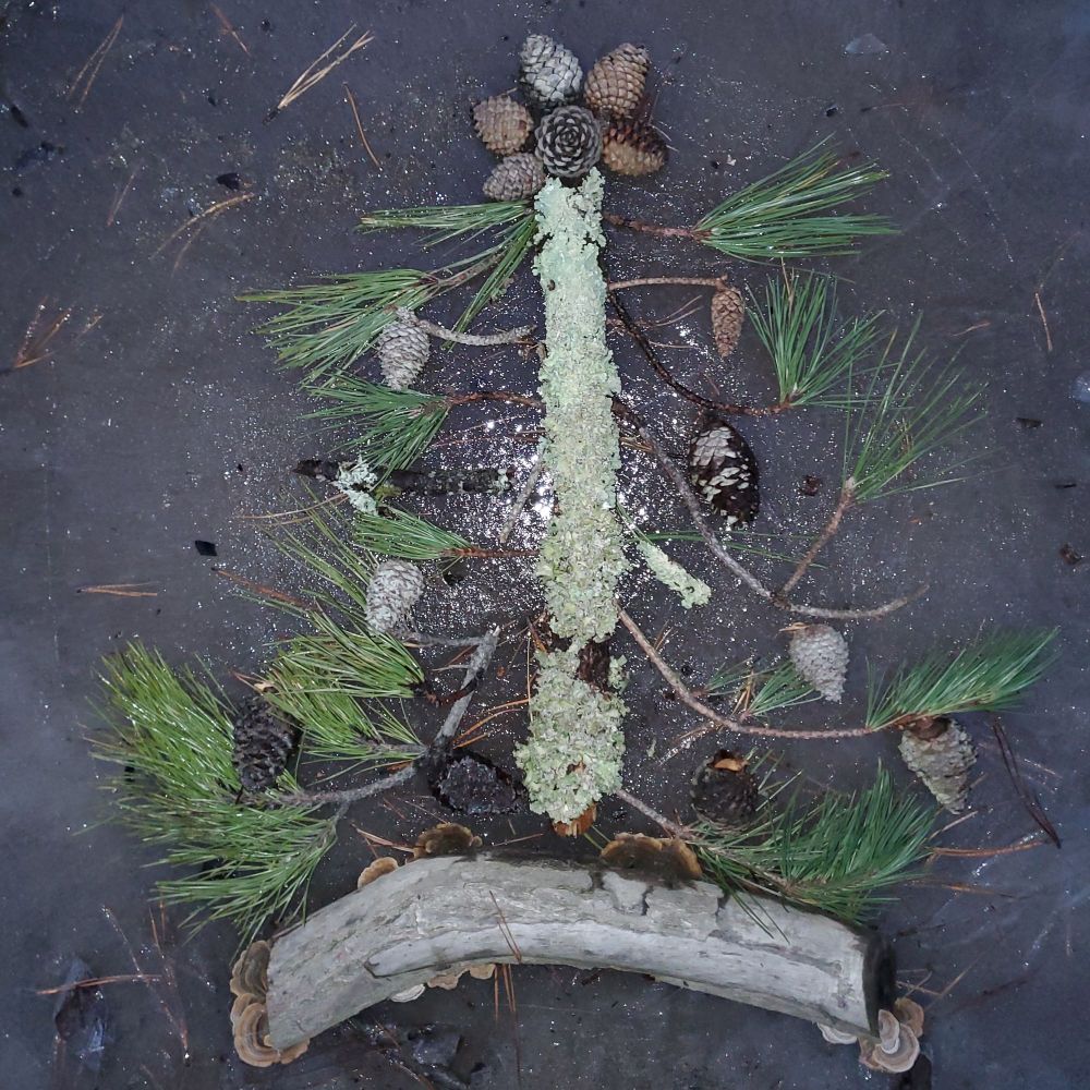 Small pine branches, pinecone, and pieces of wood with lichen and mushrooms placed on ice surface in shape of a Christmas tree.