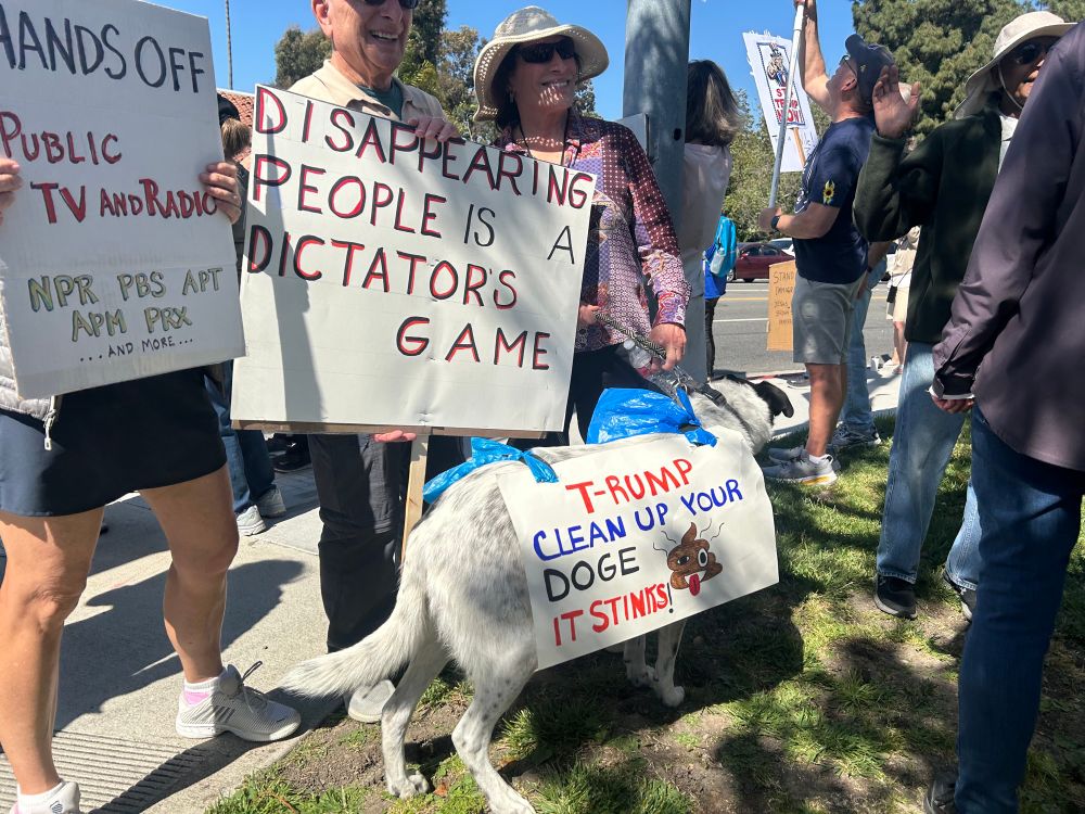 Trump clean up your doge dog 