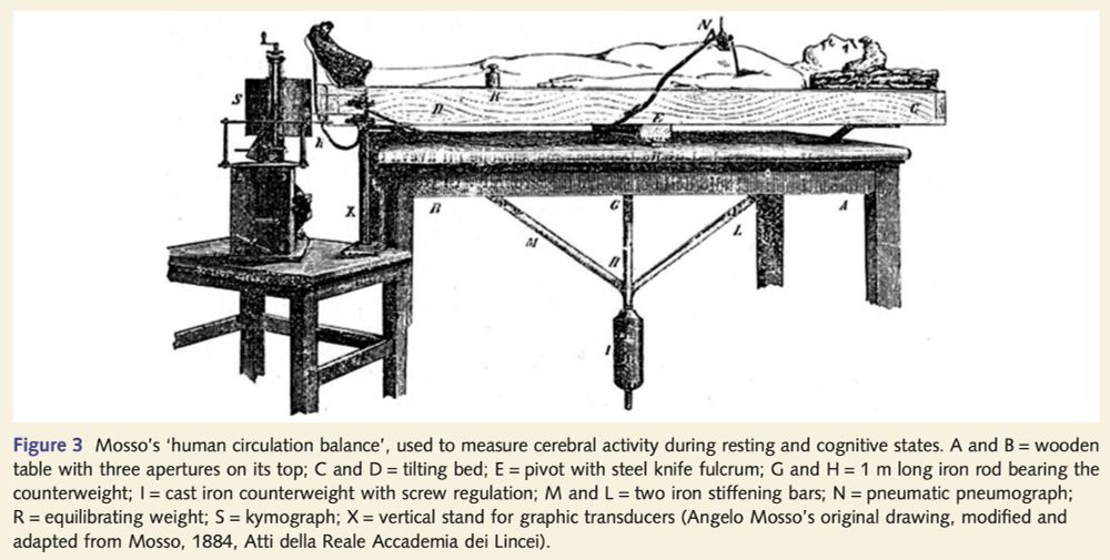 Drawing of Mosso’s ‘human circulation balance’, used to measure cerebral activity during resting and cognitive states