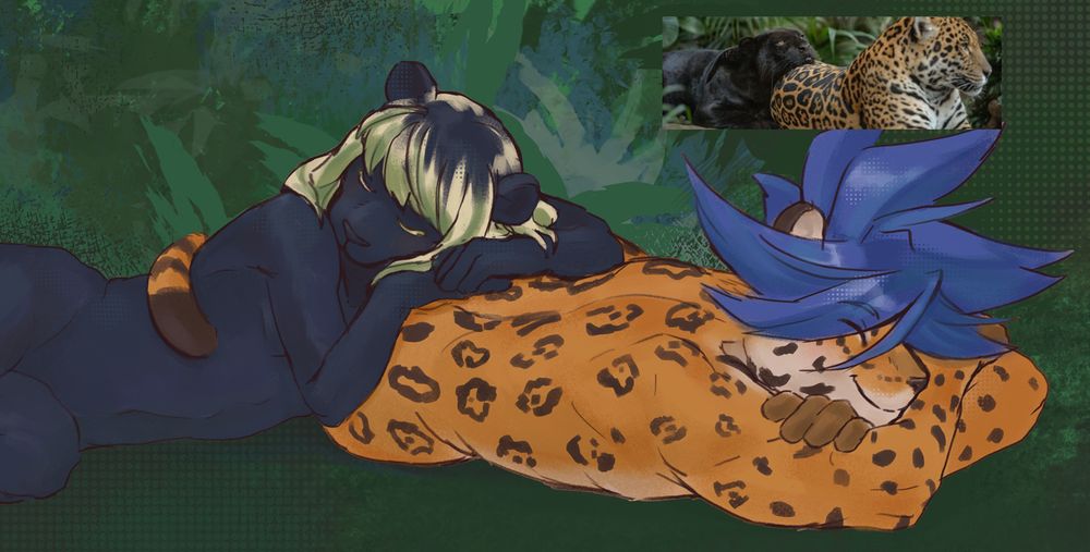 Lio as an anthropomorphic black jaguar and Galo as an anthropomorphic jaguar, both peacefully sleeping. The drawing is based on a nature photo shown on a corner.