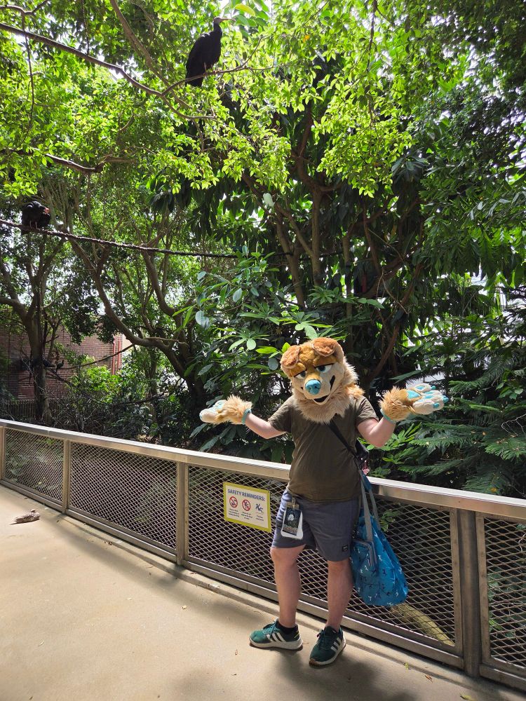 Me partialling in my golden retriever suit standing inside the rainforest exhibit of the national aviary in Pittsburg. I’m surrounded by different tropical birds and deep green foliage.