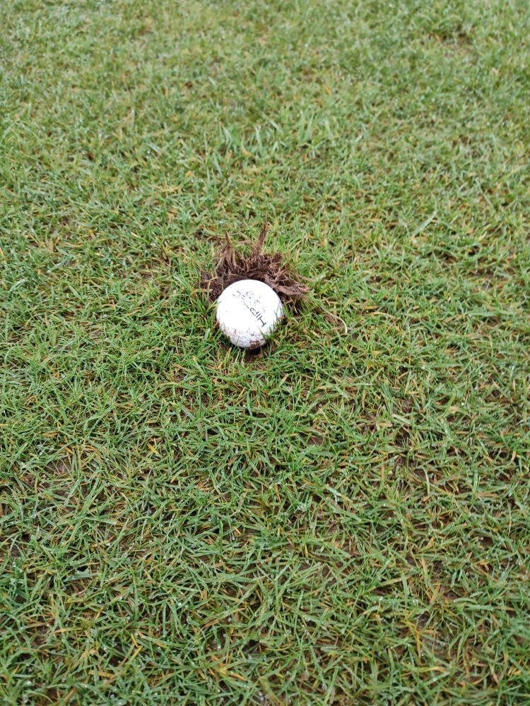 Golf ball pitched in muddy fairway