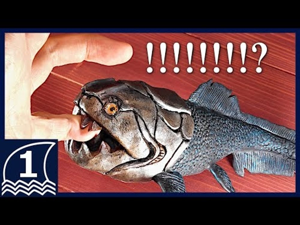 Sculpting DUNKLEOSTEUS【making an ancient sea monster ダンクレオステウスの作り方 】