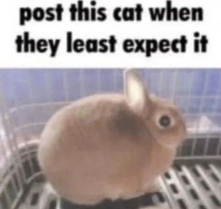 Comment image