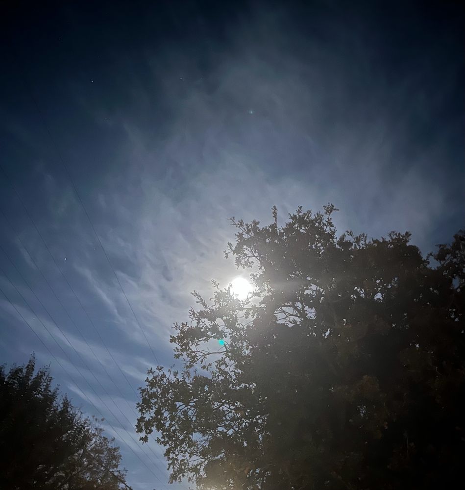 An absurdly bright moon in a semi-cloudy Texas sky, framed by a tree. A few stars also visible