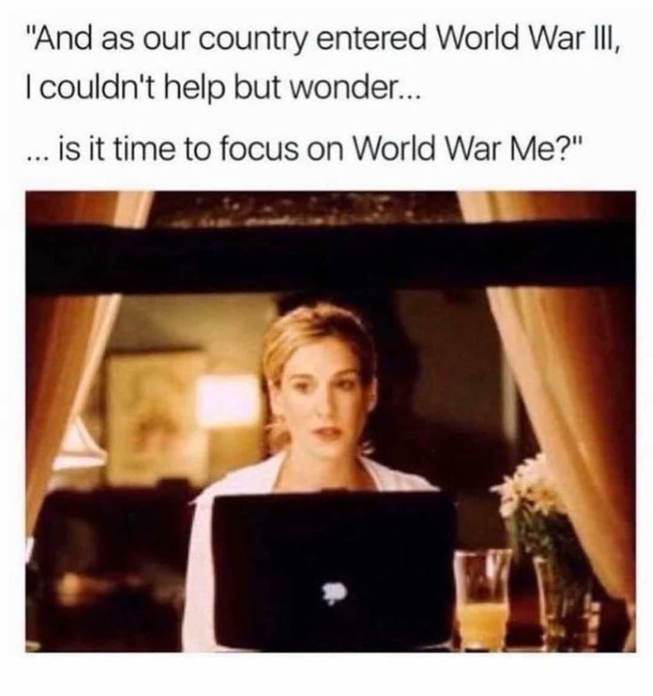 Meme: Woman sitting at laptop with caption “And as our country entered WW3, I couldn’t help but wonder is it time to focus on world war me?”