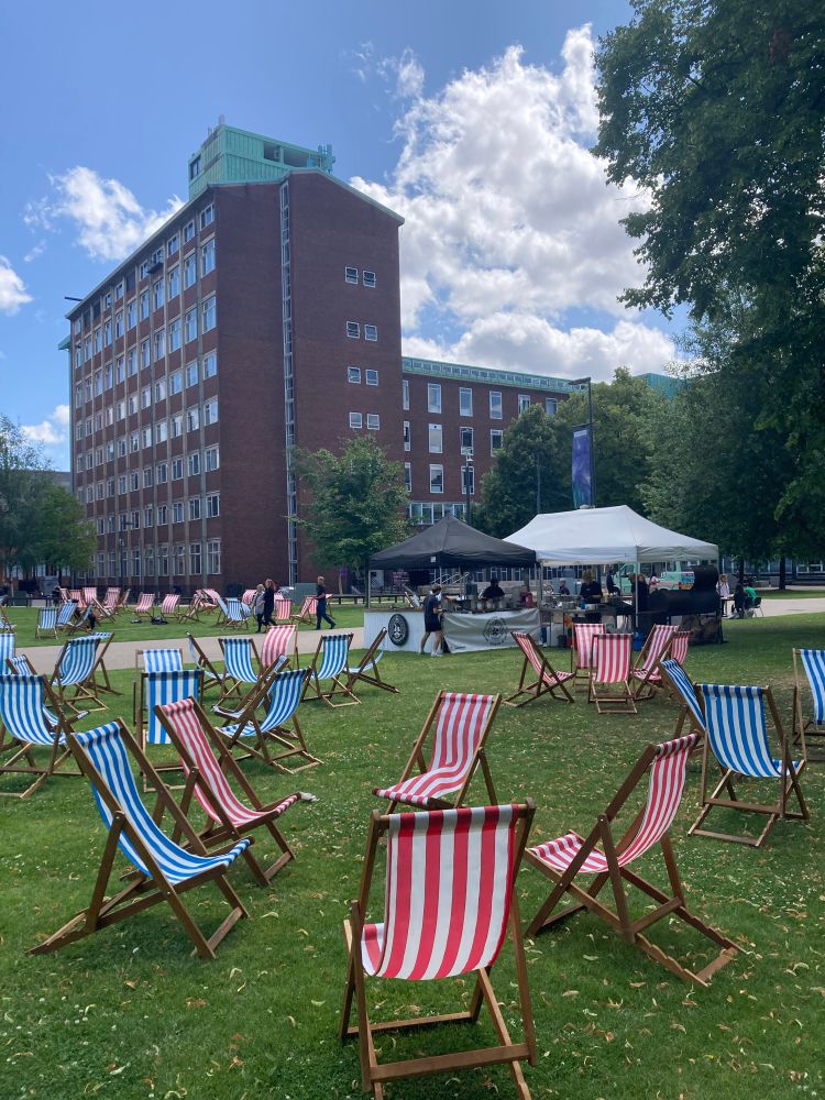 Lawn with deck chairs and a redbrick university office building in the background.