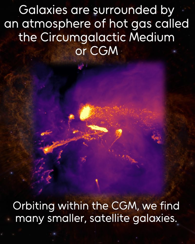 An image of simulated galaxies surrounded by lower density gas. Some of the galaxies have bright tails of dense gas behind them. Text above: "Galaxies are surrounded by an atmosphere of hot gas called the Circumgalactic Medium or CGM" Text Below: "Orbiting within the CGM, we find many smaller satellite galaxies".