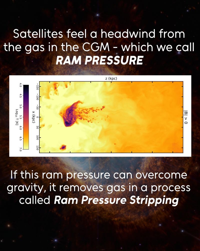 A plot showing the temperature of a satellite galaxy with a tail of gas, relative to the hot CGM surroundings. Text: Satellites feel a headwind from the gas in the CGM - which we call Ram Pressure. If this ram pressure can overcome gravity, it removes gas in a process called Ram Pressure Stripping"