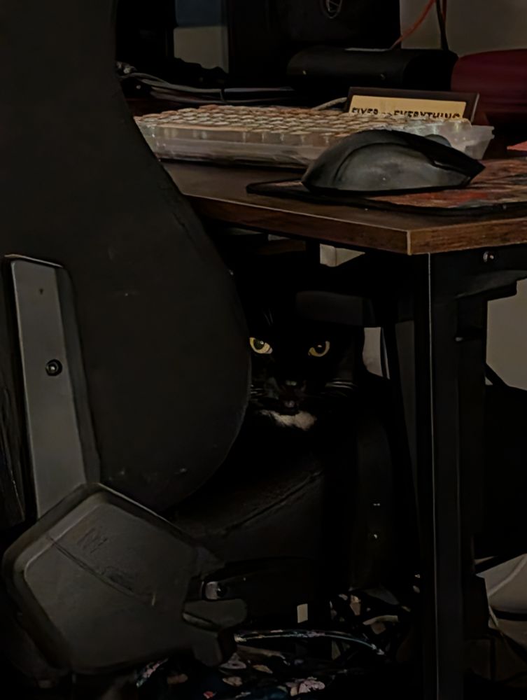 Sinister cat peeping from a PC chair 