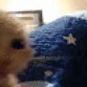 a blurry picture of a cat looking at the camera with a blue blanket with stars on it .