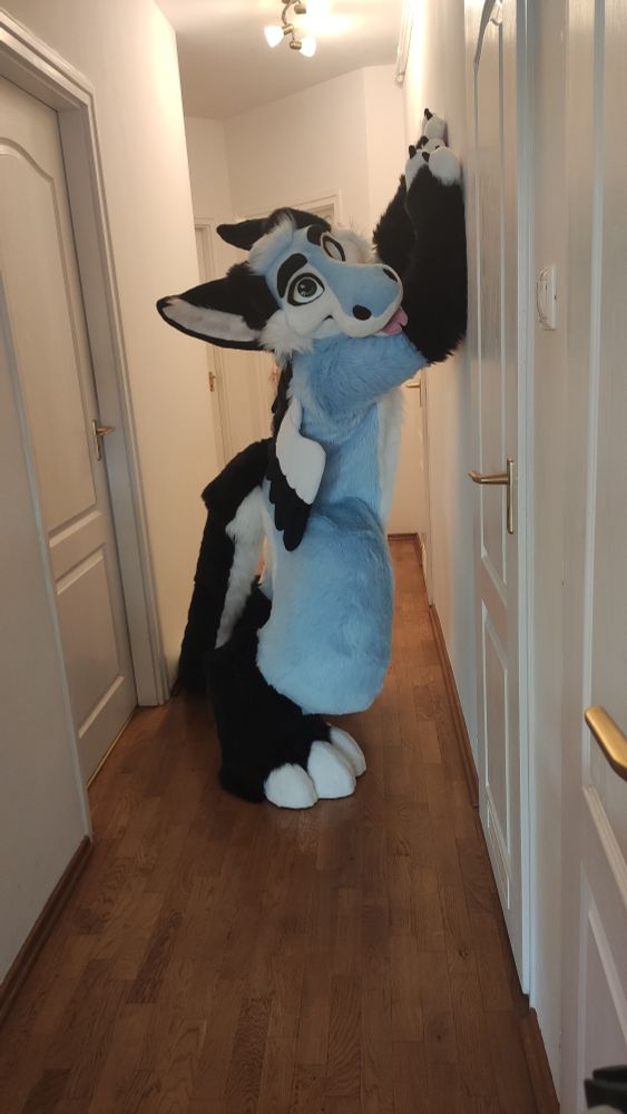 Happy #FursuitFriday everyone! This is the last weekend of the summer, but don't worry, just grab my paws and let's have a party!