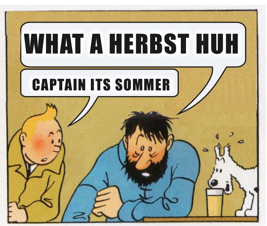 What a week meme mit den Worten what a Herbst huh und der Antwort captain its Sommer