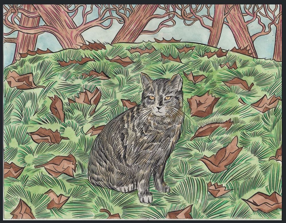 Commissioned drawing of Buddy "The Budster"