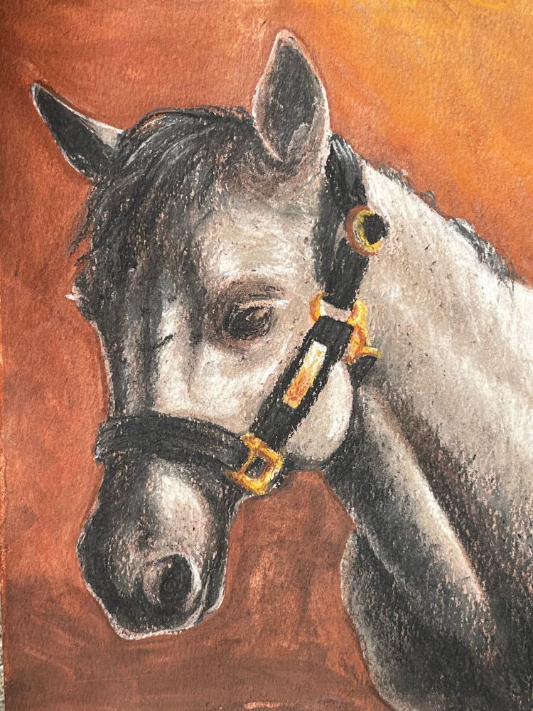 A chalk pastel drawing of a grey horse with a black and gold halter and a brown background 