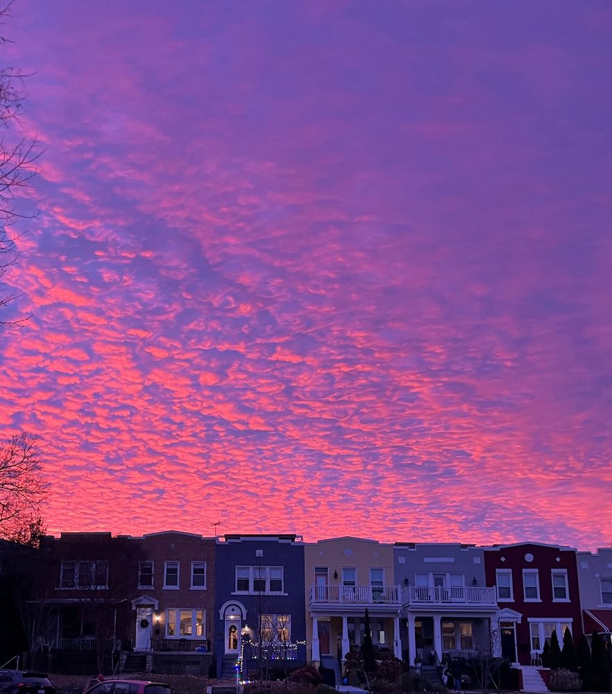 A purple and pink sunset over rowhouses in DC 