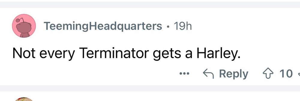 A comment on Reddit says, “not a terminator gets a hardly“ in response to a naked bike thief story in Hamilton