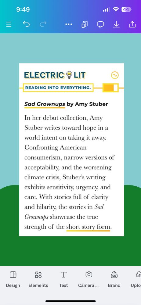 Bright green and aqua background (green is the bottom third
Of the screen and aqua top two thirds) with screenshot of review from electric lit’s best short story
Collections of 2024 -
Blurb about Sad Grownups - reviews found here https://electricliterature.com/electric-lits-best-short-story-collections-of-2024/