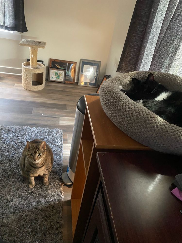 My little girl and baby boy.