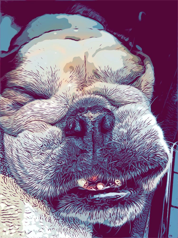 Groundhog Day (@sam5h4rp.bsky.social) — Bluesky