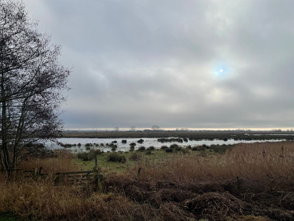 A field with a small body of water and cloudy skies 