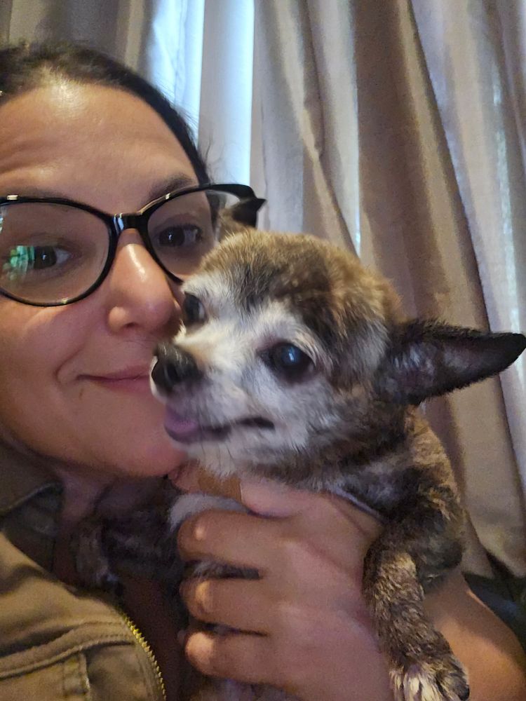 Cute chihuahua and me