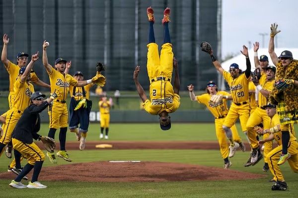 The Savannah Bananas