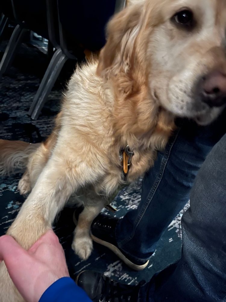 Meeting Steve Darling MP’s guide dog Jennie at Glee Club