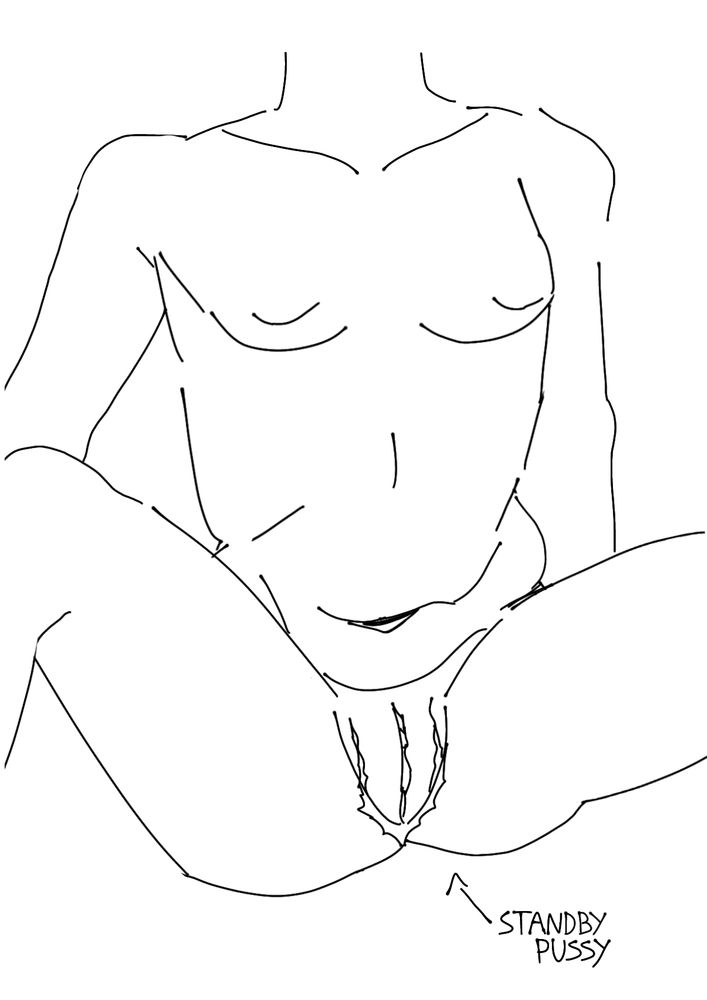 desenho anatômico de um corpo nu com uma vagina trans operada com as suas pernas abertas, a legenda na tela diz "buceta parada"

anatomical drawing with a naked body that have an bottom surgery trans pussy with the legs wide open, the caption reads "standby pussy"