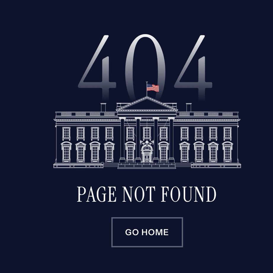 The WhiteHouse.gov website where The US Constitution should be showing “Page Not Found”, meaning the page has been removed. 