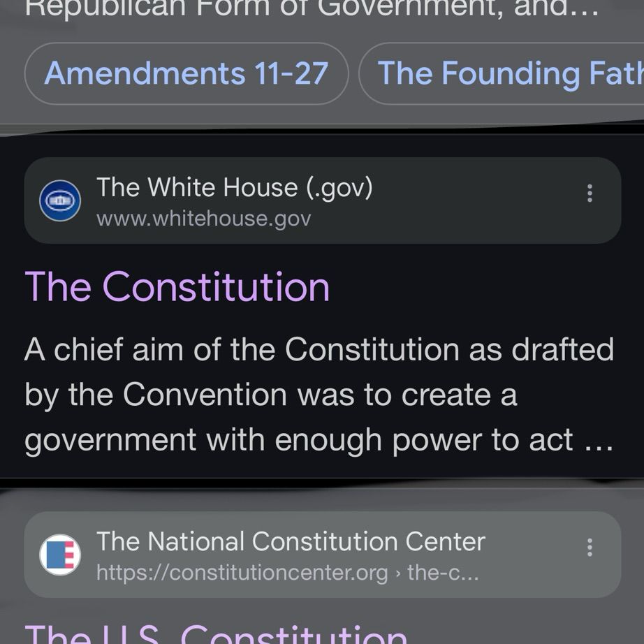A screenshot from Google highlighting the Google results for The Constitution on WhiteHouse.gov