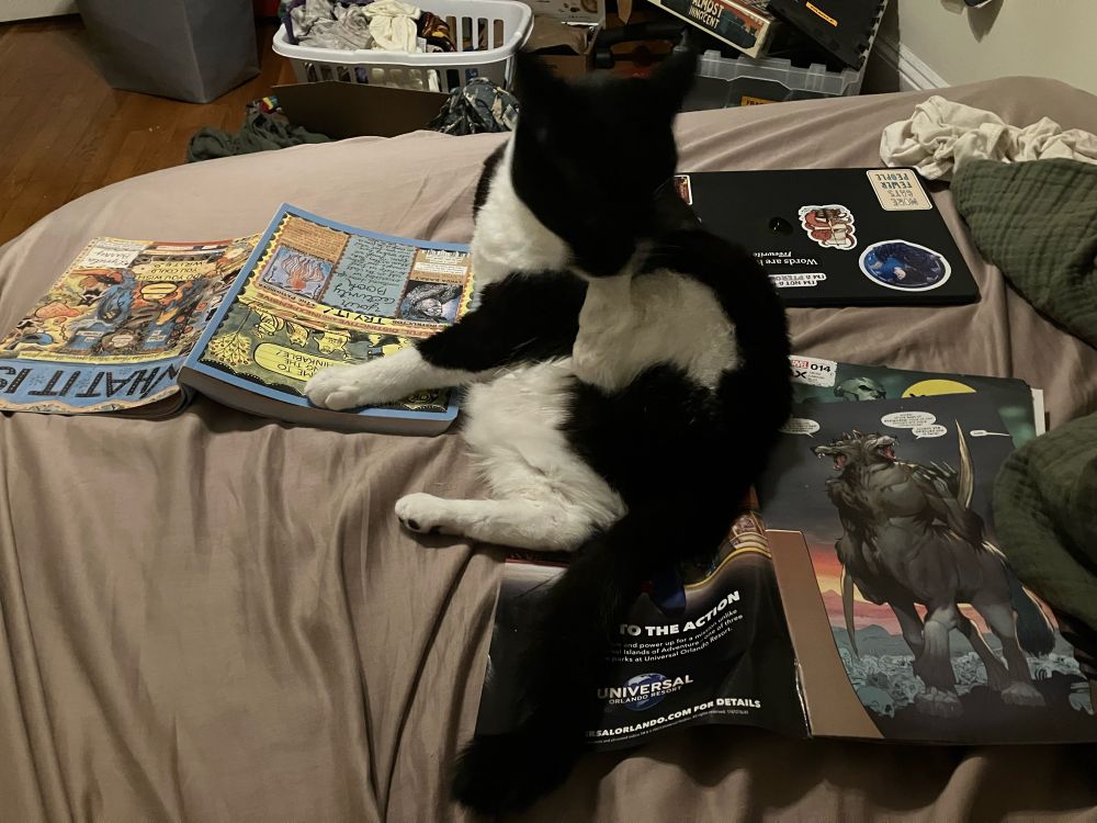 Black and white cat seated so that her paw is on one comic, her butt and tail on two more, and her back blocking a laptop. Reading is impossible.