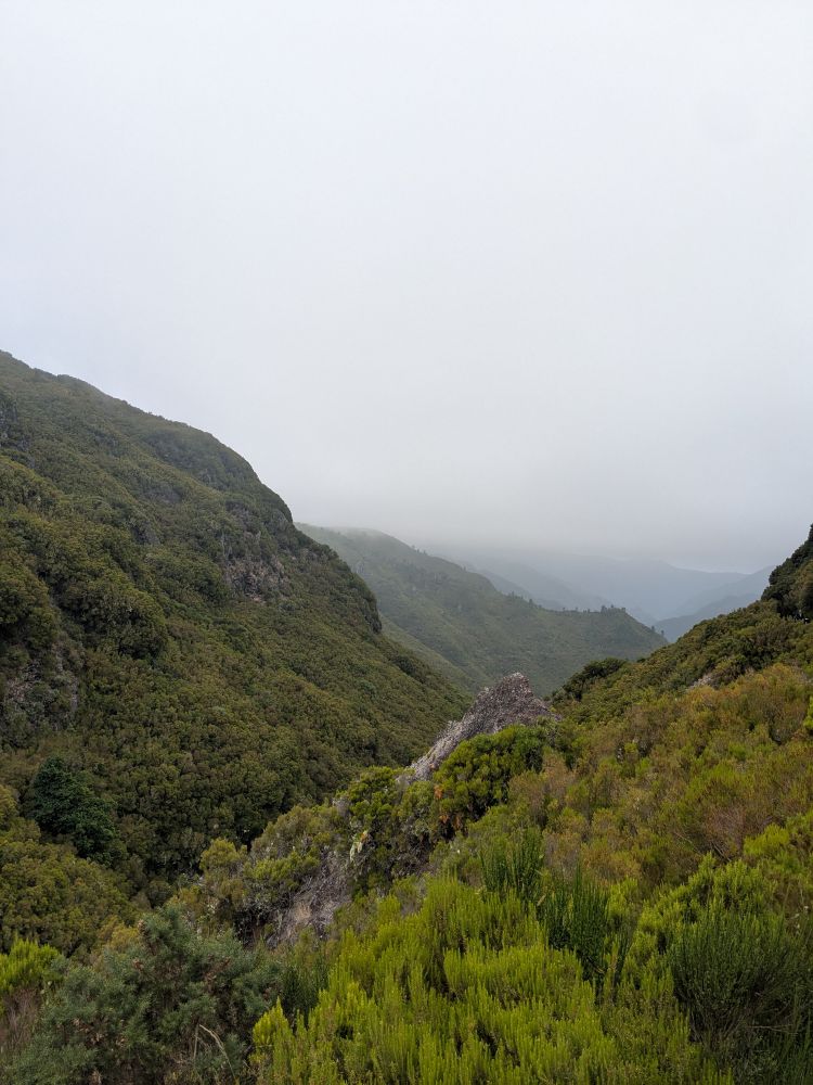 Blick auf bewachsene Bergketten beim Rabacal auf Madeira.