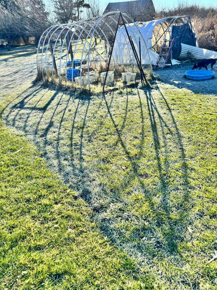Frost on the grass in the shape of a chicken coop.