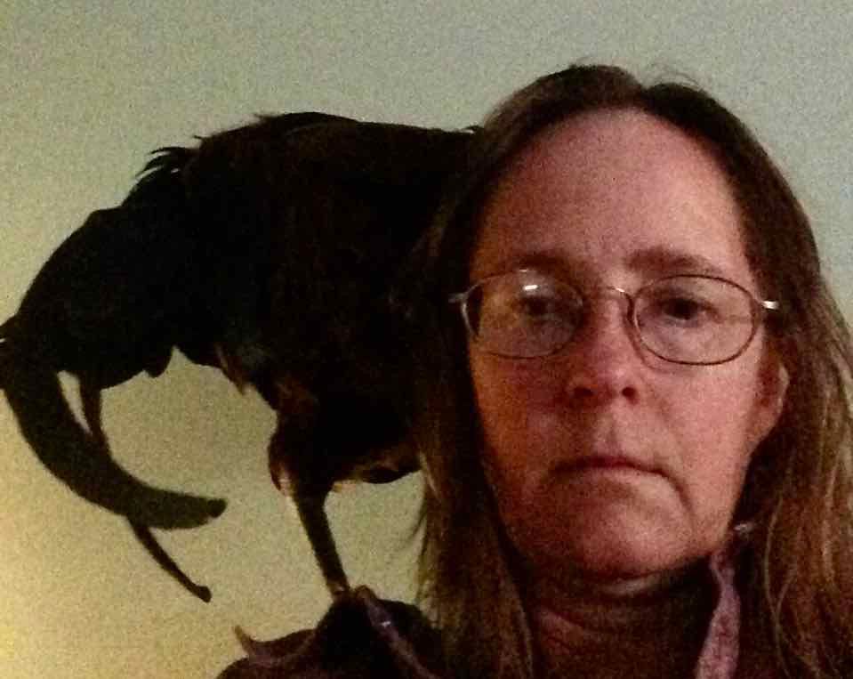 
Kathryn Cramer,  woman with long hair and glasses is shown in a dimly lit room. She has a calm expression and is accompanied by a black rooster perched on her shoulder, partially obscuring her face. The background is plain and softly lit.