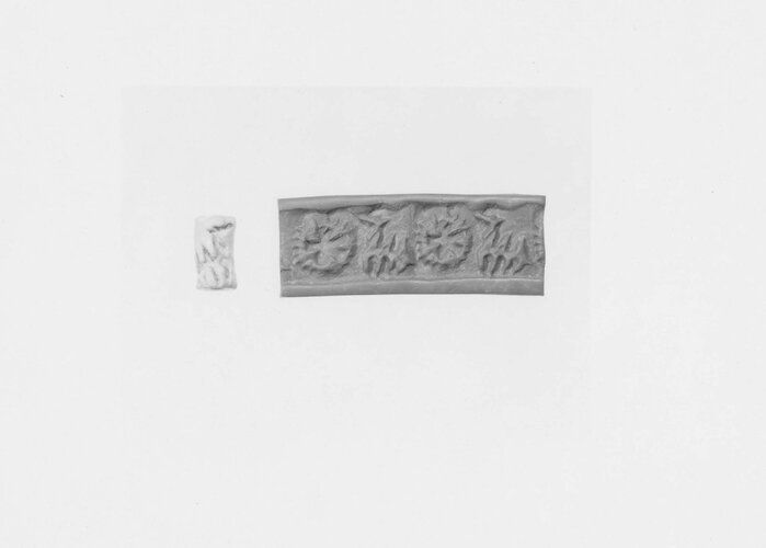 Cylinder Seal