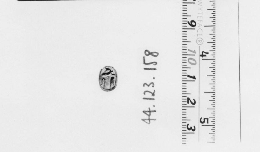 Small Scarab