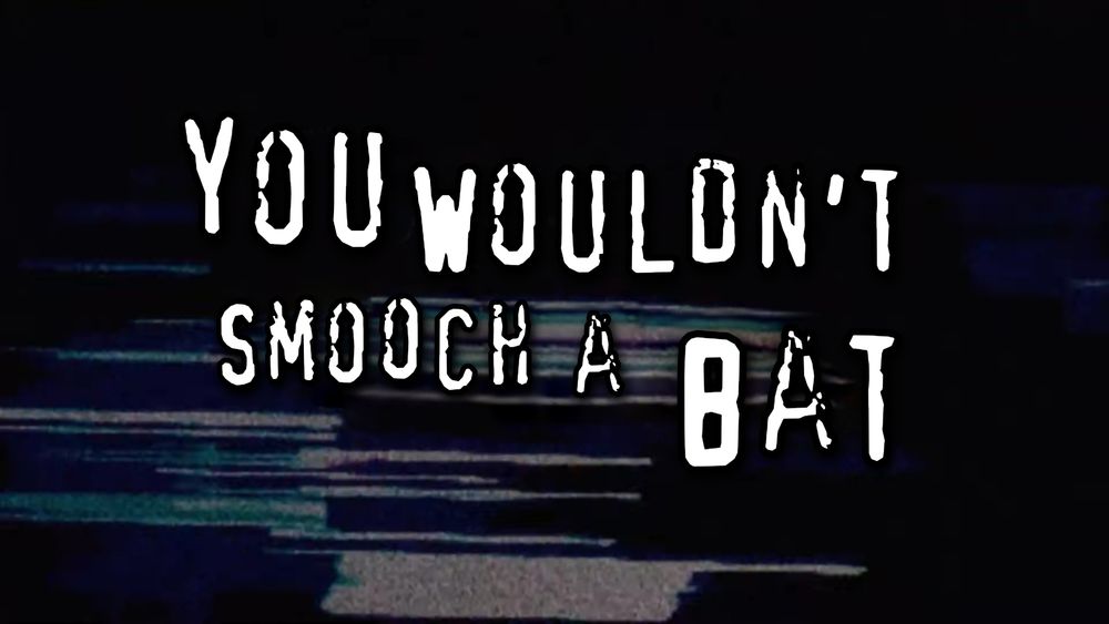 Scrawly, scratchy, and uneven text that reads "you wouldn't smooch a bat"