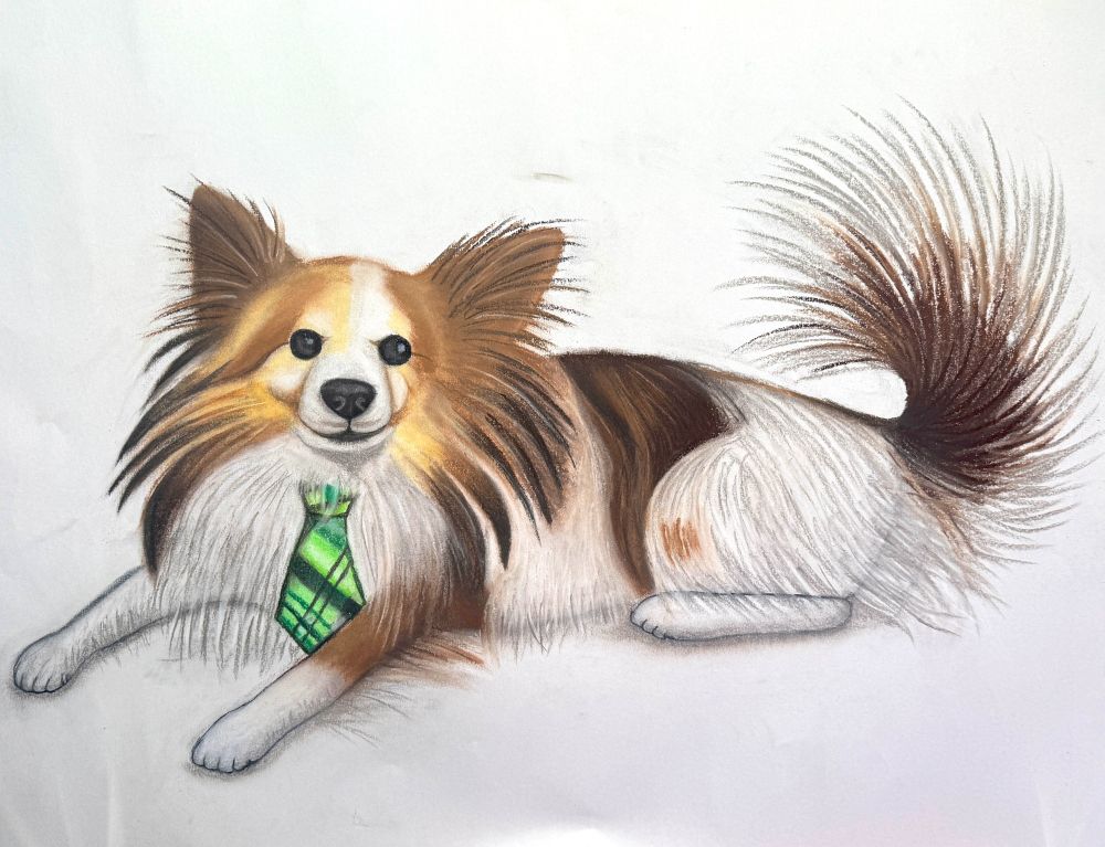 A pastel and charcoal drawing of a Papillion dog laying down with a small green plaid tie on. 