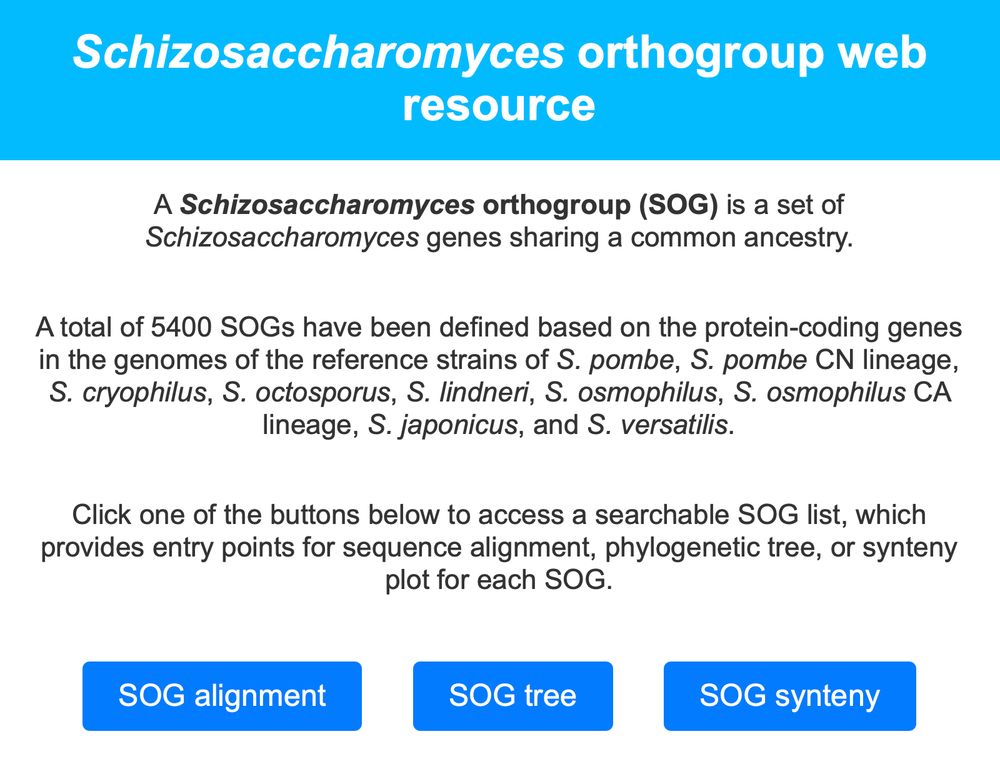 Screenshot of the SOG home page.